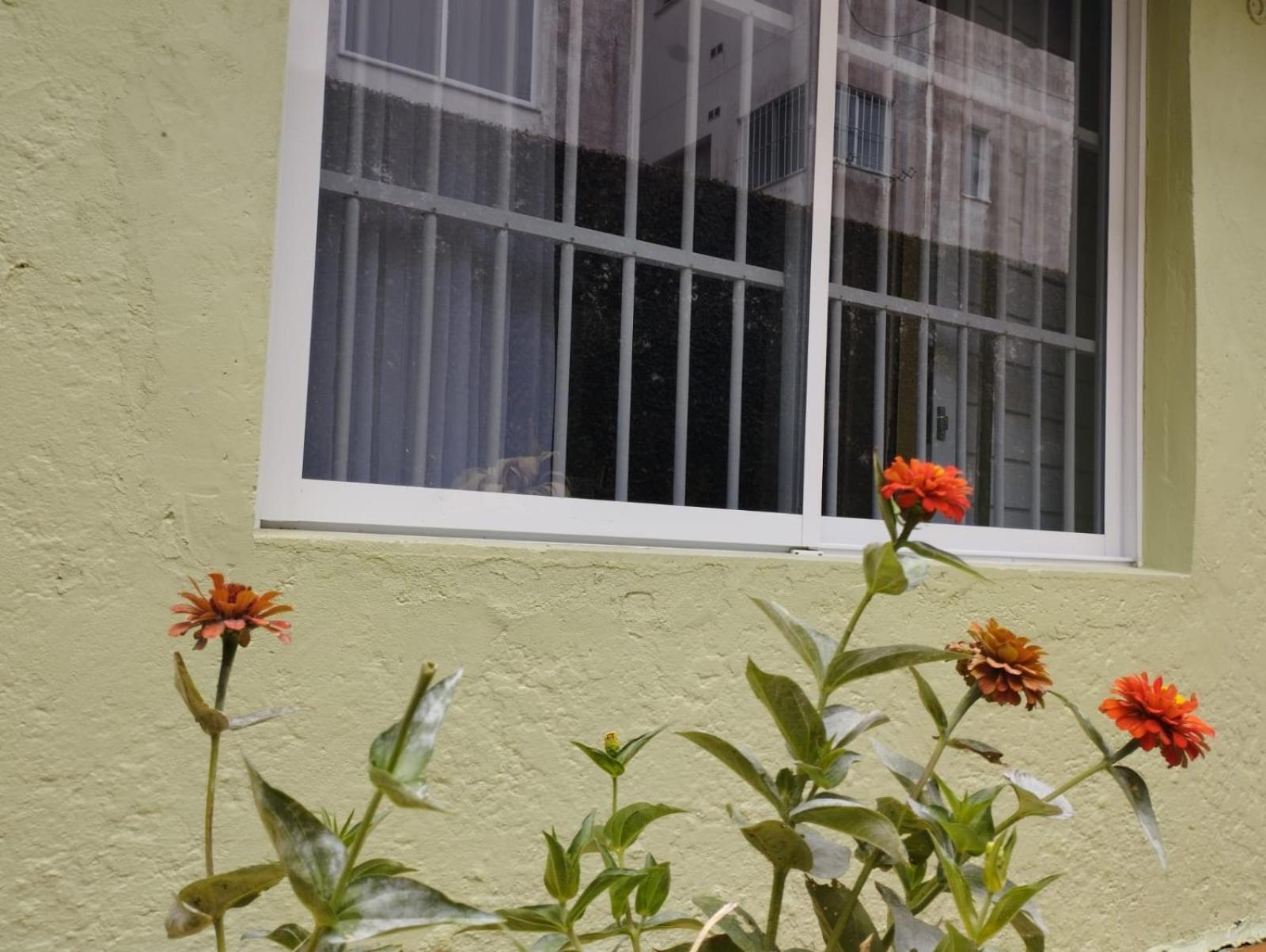 Charmoso Apto Com Clima De Casa Em Canasvieiras Флорианополис Экстерьер фото
